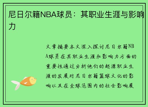 尼日尔籍NBA球员：其职业生涯与影响力